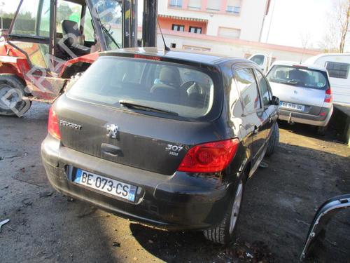 Hood PEUGEOT 307 (3A/C) 1.6 HDi 110 | BP21752562C1 