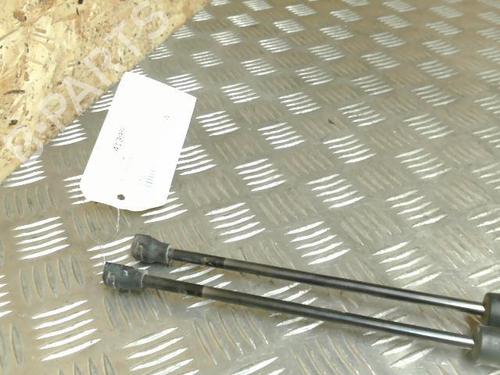 Tailgate lift support DACIA SANDERO II 1.2 LPG | BP21745197C138 