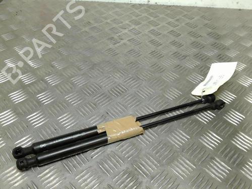 Used Hood lift support RENAULT KANGOO Express (FW0/1_) 1.5 dCi 95 (FW16) (95 hp) 21749788