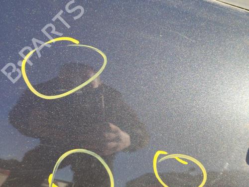 Left rear door DACIA SANDERO 1.5 dCi | BP21735247C4