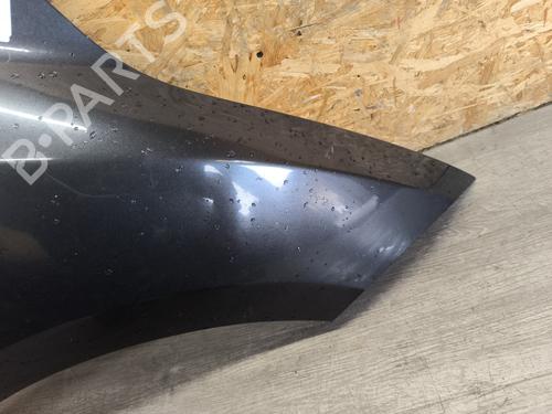 Right front fenders RENAULT MEGANE III Hatchback (BZ0/1_, B3_) 1.5 dCi | BP21747792C42 