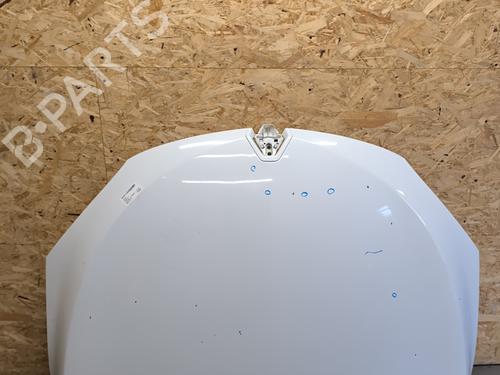 Used Hood RENAULT MEGANE III Coupe (DZ0/1_) 1.9 dCi (DZ0N, DZ0J, DZ1J, DZ1K) (131 hp) 21733427
