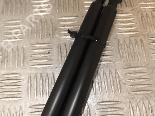 Tailgate lift support PEUGEOT 308 SW II (LC_, LJ_, LR_, LX_, L4_) 1.6 BlueHDi 120 | BP25124953C138 