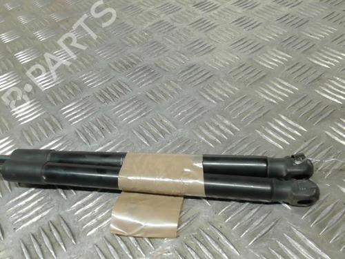 Tailgate lift support HYUNDAI i20 I (PB, PBT) 1.2 | BP21745671C138 