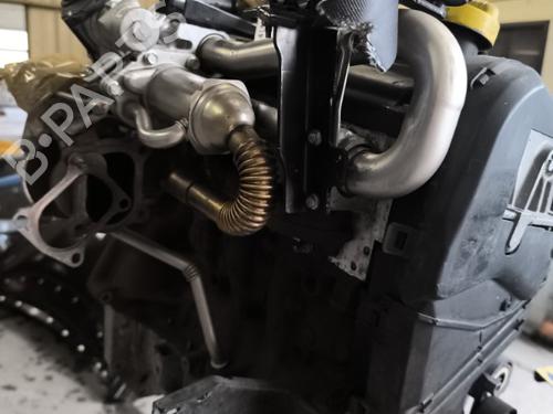 Engine NISSAN MICRA III (K12) 1.5 dCi | BP21749822M1 