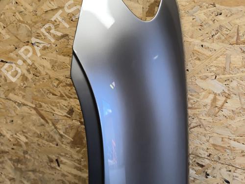 Left front fenders BMW X5 (E53) 3.0 d | BP21730572C41 