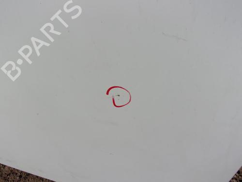 Hood RENAULT RAPID Box Body/MPV (F40_, G40_) 1.9 D (F40R) | BP21744632C1