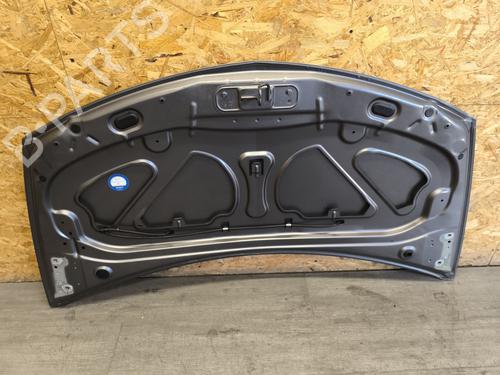 Hood RENAULT CLIO III (BR0/1, CR0/1) 1.2 16V Hi-Flex (BR1U, CR1U) | BP28320516C1 
