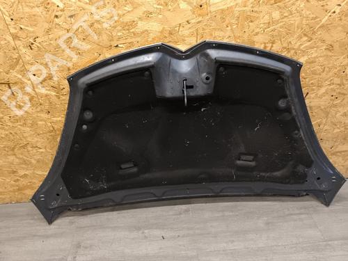 Hood CITROËN C4 Grand Picasso I (UA_) 2.0 HDi 138 | BP21732802C1