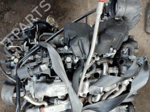 Engine MERCEDES-BENZ A-CLASS (W169) A 180 CDI (169.007, 169.307) | BP21742196M1 