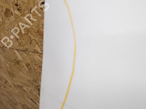 Hood RENAULT RAPID Box Body/MPV (F40_, G40_) 1.2 (F406, G40A) | BP24886308C1