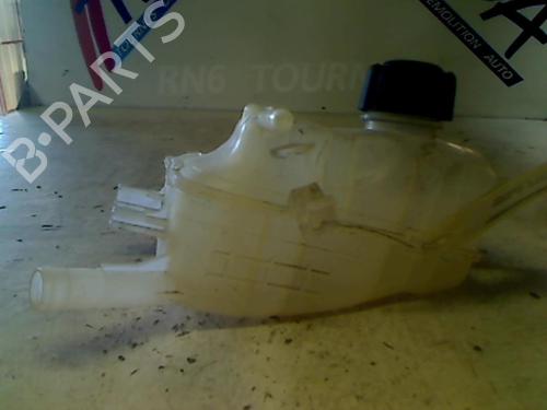 Used Expansion tank RENAULT SCÉNIC III (JZ0/1_) 1.9 dCi (JZ0J, JZ1J, JZ1K, JZ1S) (131 hp) 21752822