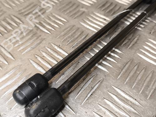 Tailgate lift support LAND ROVER FREELANDER 2 (L359) 2.2 TD4 4x4 | BP22556646C138 