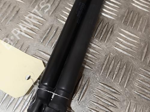 Tailgate lift support FORD FOCUS II (DA_, HCP, DP) 1.8 TDCi | BP22654745C138 