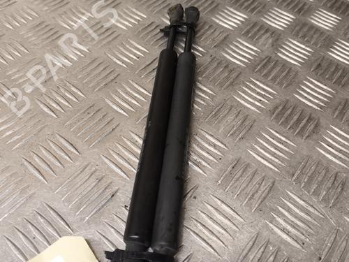 Used Tailgate lift support CITROËN C3 Pluriel (HB_) 1.6 (109 hp) 27250057