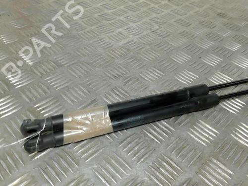 Gasdæmper bagklap SUZUKI SWIFT III (MZ, EZ) 1.3 DDiS (RS413D) | BP21730748C138 