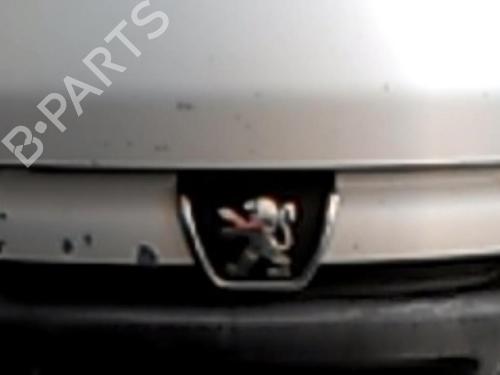 Used Grille PEUGEOT BOXER Van (244) 2.8 HDi (128 hp) 21752870