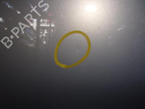 Hood CITROËN XSARA PICASSO (N68) 2.0 HDi | BP21751498C1 