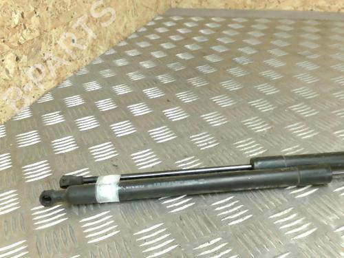 Gassdemper Bakluke RENAULT SCÉNIC III (JZ0/1_) 1.5 dCi (110 hp) 21744869