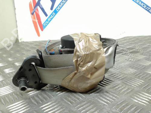 Used Front right belt tensioner RENAULT SCÉNIC III (JZ0/1_) 1.9 dCi (JZ0J, JZ1J, JZ1K, JZ1S) (131 hp) 21741987
