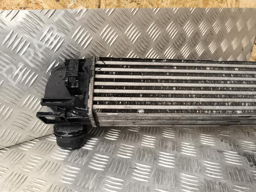 Intercooler RENAULT SCÉNIC III (JZ0/1_) 1.9 dCi (JZ0J, JZ1J, JZ1K, JZ1S) | BP29042129M30 