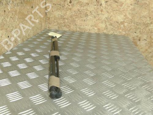 Tailgate lift support PEUGEOT 106 II (1A_, 1C_) 1.4 i | BP21728973C138 
