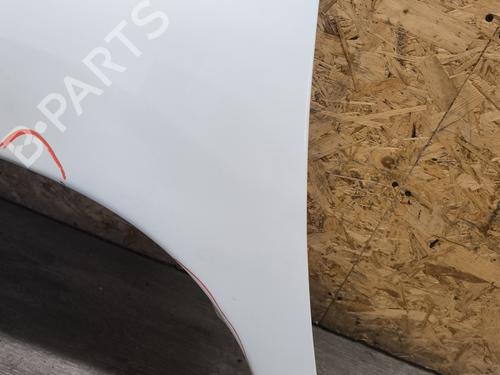 Left front fenders CITROËN JUMPY II Van 2.0 HDi 120 | BP29288195C41