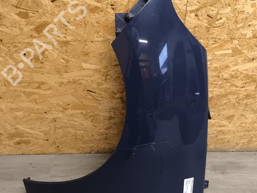 Used Left front fenders RENAULT SCÉNIC III (JZ0/1_) 1.5 dCi (86 hp) 21740231
