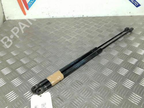 Tailgate lift support OPEL CORSA D (S07) 1.3 CDTI (L08, L68) | BP21731217C138 
