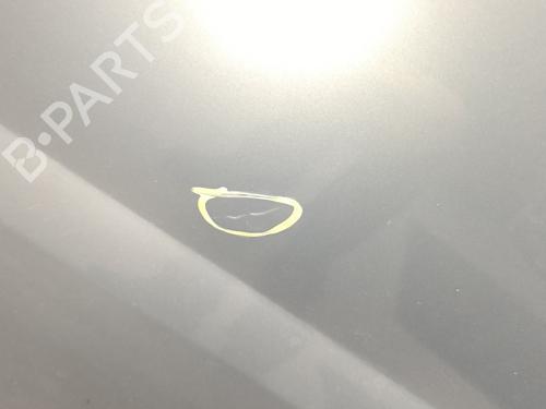 Left front door LAND ROVER RANGE ROVER SPORT I (L320) 2.7 D 4x4 | BP22005985C2 