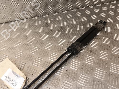 Used Tailgate lift support CITROËN C3 II (SC_) 1.4 HDi 70 (SC8HZC, SC8HR0, SC8HP4) (68 hp) 21743983