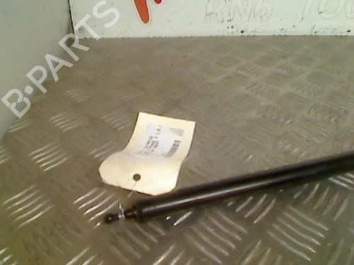 Hood lift support RENAULT MEGANE III Hatchback (BZ0/1_, B3_) 1.5 dCi (BZ09, BZ0D, BZ1W, BZ29, BZ14) | BP21746089C139 