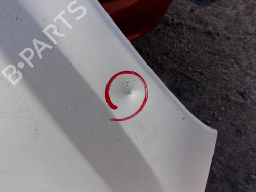Hood CITROËN XSARA PICASSO (N68) 2.0 HDi | BP21736534C1 