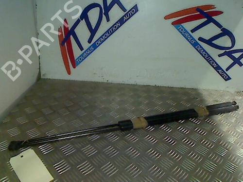 Used Tailgate lift support RENAULT KANGOO / GRAND KANGOO II (KW0/1_) 1.5 dCi (106 hp) 21731573