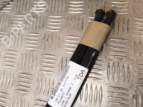 Tailgate lift support PEUGEOT 208 I (CA_, CC_) 1.6 HDi | BP22011931C138 