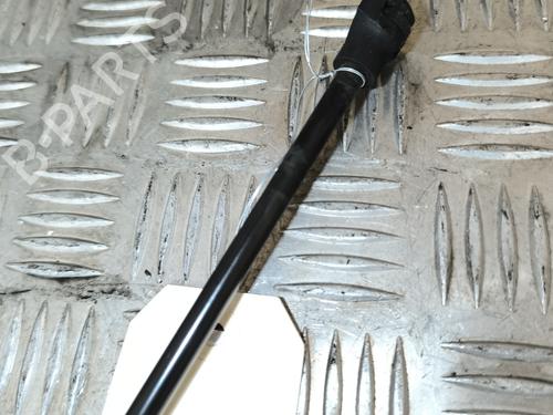 Hood lift support DACIA SANDERO II 1.2 | BP22197933C139 