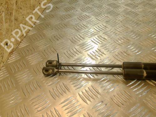 Tailgate lift support DACIA DUSTER (HS_) 1.5 dCi 4x4 (HSMC, HSMD) | BP21737799C138 