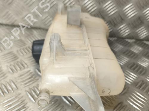 Expansion tank RENAULT CLIO III Grandtour (KR0/1_) 1.5 dCi (KR0G) | BP26019629C120 