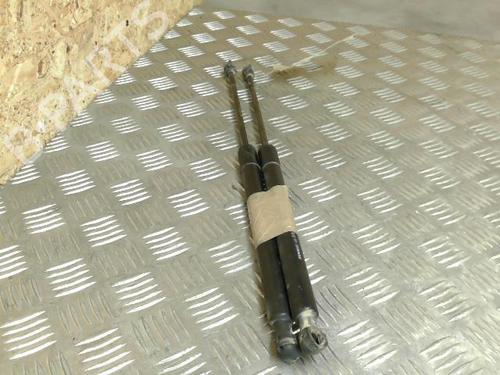 Tailgate lift support DACIA SANDERO II 1.2 LPG | BP21745197C138 