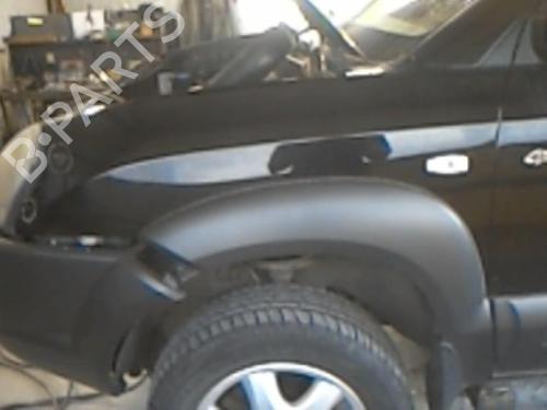Used Left front fenders HYUNDAI TUCSON (JM) 2.0 CRDi All-wheel Drive (113 hp) 21751630