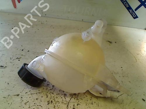 Used Expansion tank CITROËN C3 II (SC_) 1.6 HDi (92 hp) 21752146