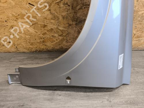 Left front fenders OPEL SIGNUM Hatchback (Z03) 1.9 CDTI (F48) | BP22772568C41