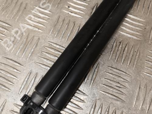 Tailgate lift support NISSAN QASHQAI I (J10, NJ10) 1.5 dCi | BP24377721C138