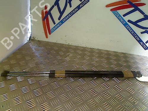 Used Hood lift support RENAULT ESPACE IV (JK0/1_) 2.2 dCi (JK0H) (150 hp) 21747547