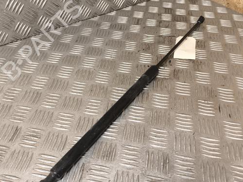 Used Hood lift support DACIA SANDERO II 1.2 (75 hp) 22197933