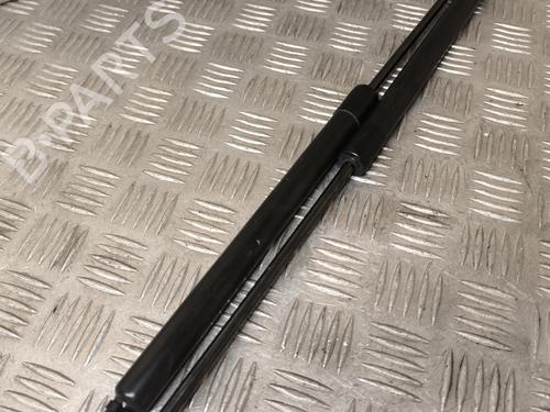 Used Tailgate lift support RENAULT MEGANE IV Hatchback (B9A/M/N_) 1.5 Blue dCi 115 (B9A6) (116 hp) 25277274
