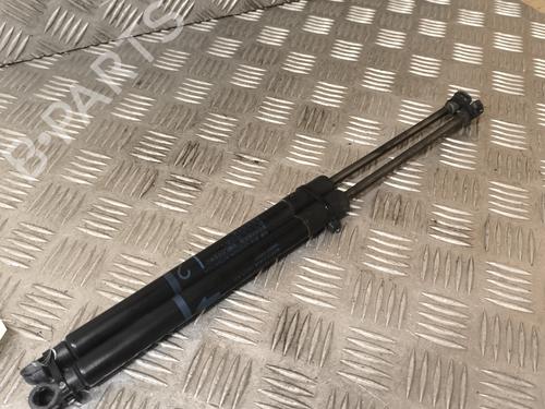 Used Tailgate lift support TOYOTA YARIS (_P13_) 1.3 (NSP130_, NSP130) (99 hp) 22008420