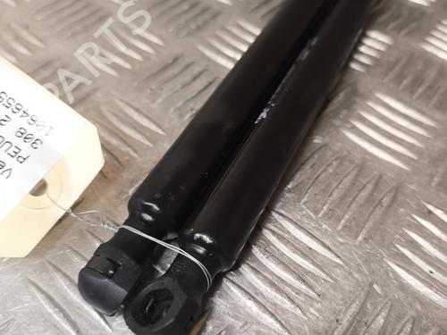 Tailgate lift support PEUGEOT 308 II (LB_, LP_, LW_, LH_, L3_) 1.6 BlueHDi 120 | BP26466476C138