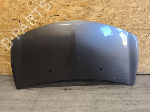 Panser RENAULT CLIO III (BR0/1, CR0/1) 1.2 16V Hi-Flex (BR1U, CR1U) (75 hp) 28320516