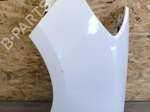 Left front fenders RENAULT CLIO III (BR0/1, CR0/1) 1.5 dCi (C/BR0G, C/BR1G) | BP21741601C41 